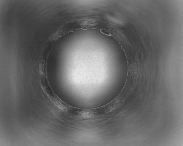 X0000073500755200608140908