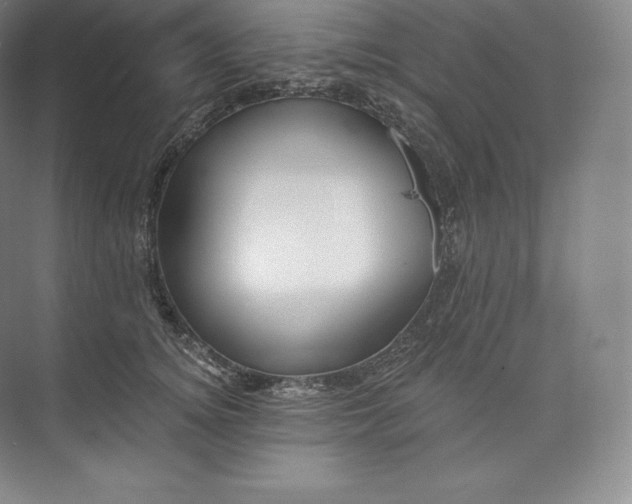 X0000073500756200608140908