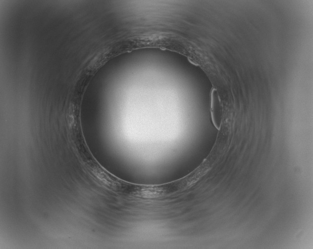 X0000073500758200608140908