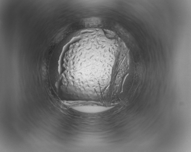 X0000073500761200608140908