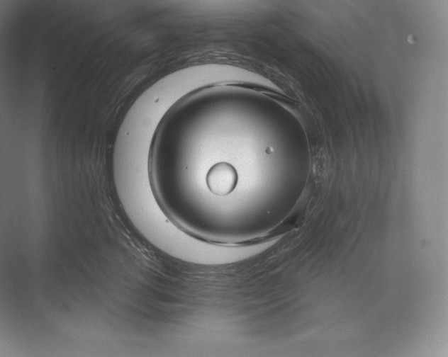 X0000073500762200608140908