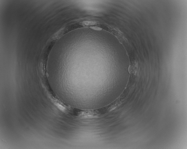 X0000073500763200608140908