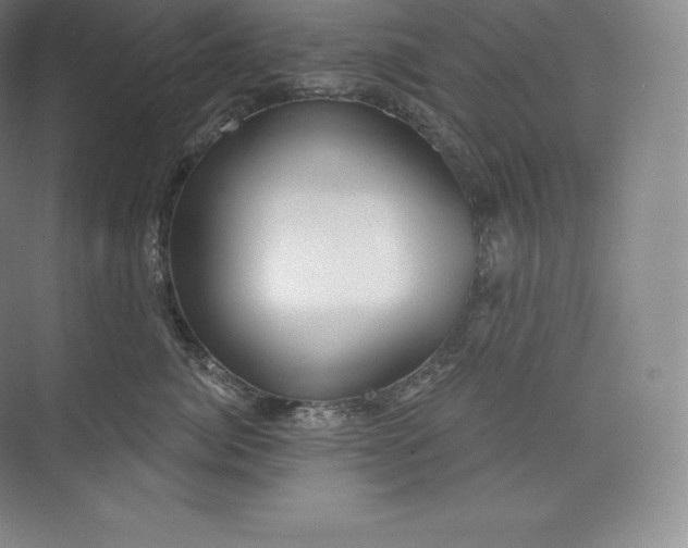 X0000073500764200608140908
