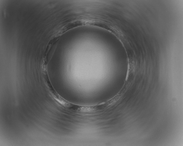 X0000073500766200608140908