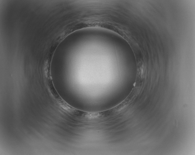 X0000073500767200608140908
