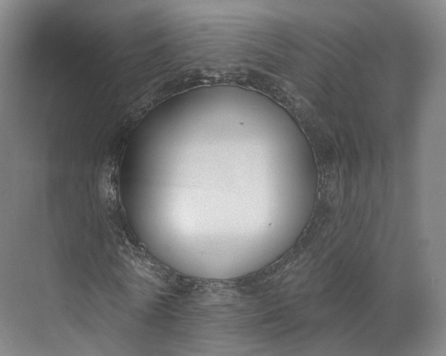 X0000073500770200608140907