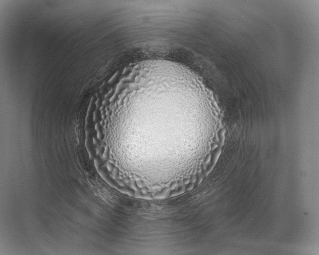 X0000073500772200608140907