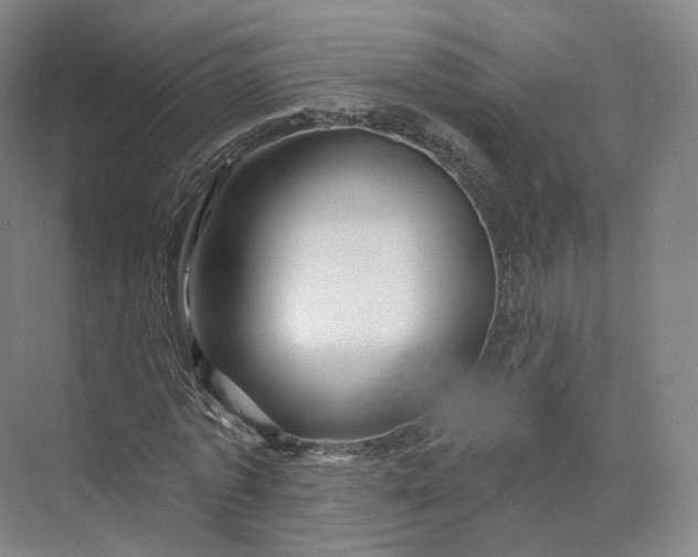 X0000073500773200608140907