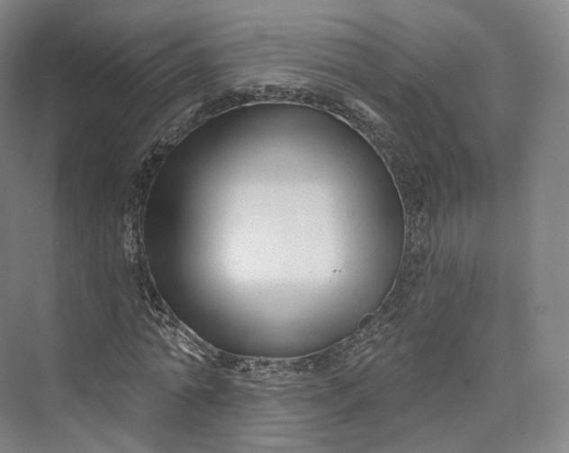 X0000073500774200608140907