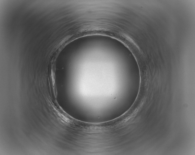 X0000073500777200608140907