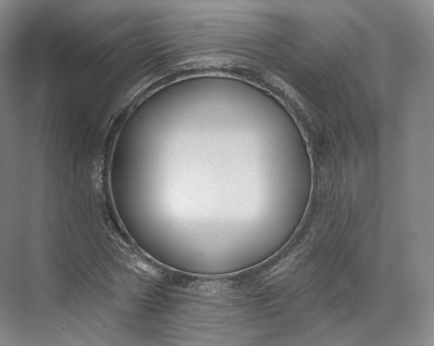 X0000073500778200608140907