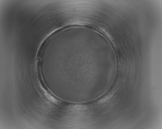 X0000073500779200608140907