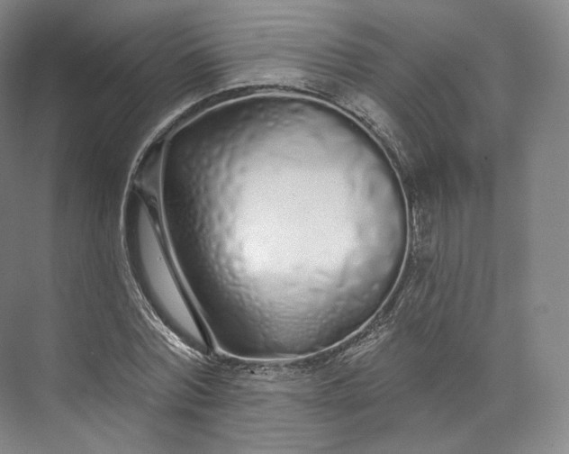 X0000073500780200608140907