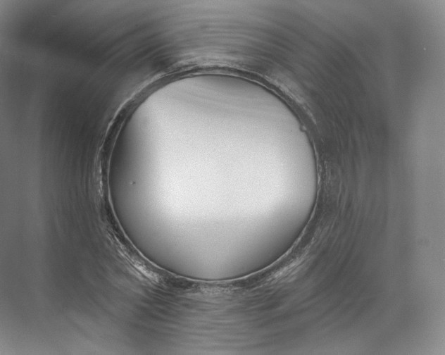 X0000073500782200608140907