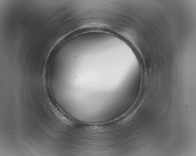 X0000073500783200608140907