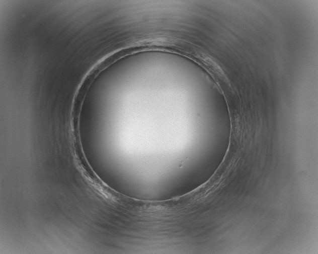 X0000073500784200608140907