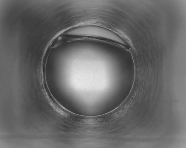 X0000073500792200608140907
