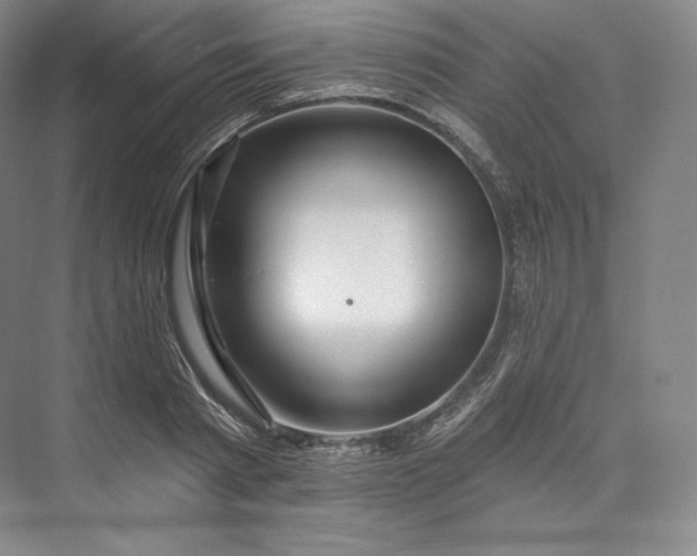 X0000073500793200608140907