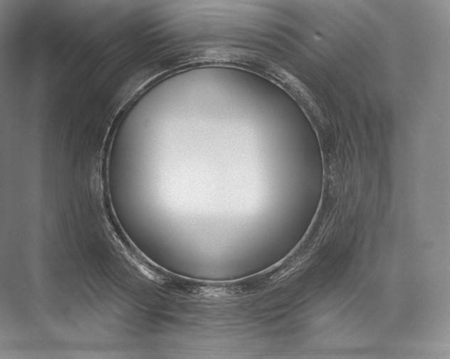 X0000073500794200608140907