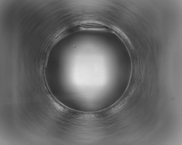 X0000073500801200608140907