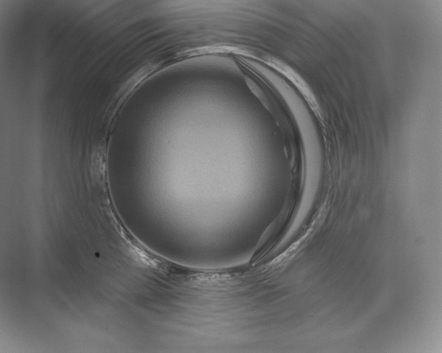 X0000073500809200608140906