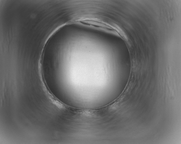 X0000073500814200608140906