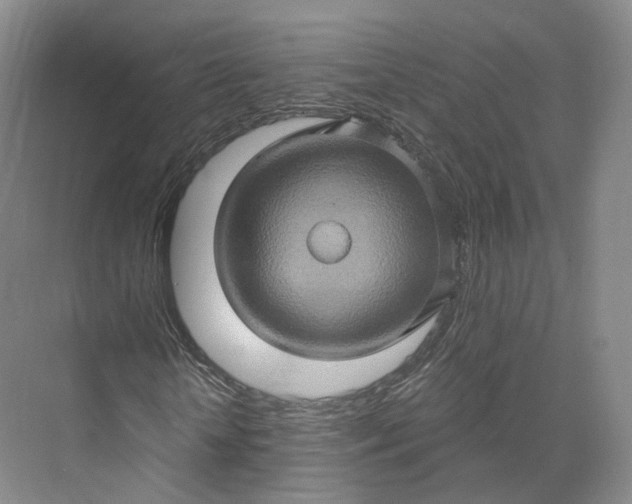 X0000073500818200608140905