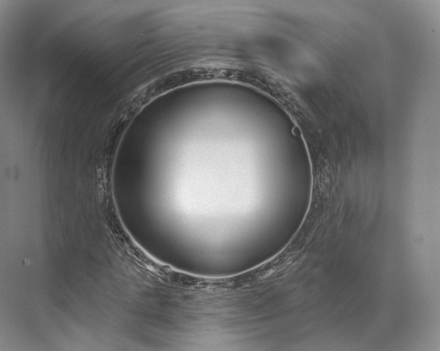 X0000073500821200608140906