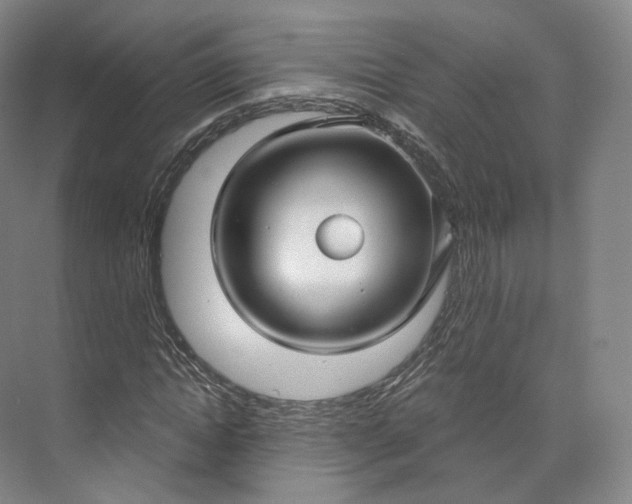 X0000073500822200608140906