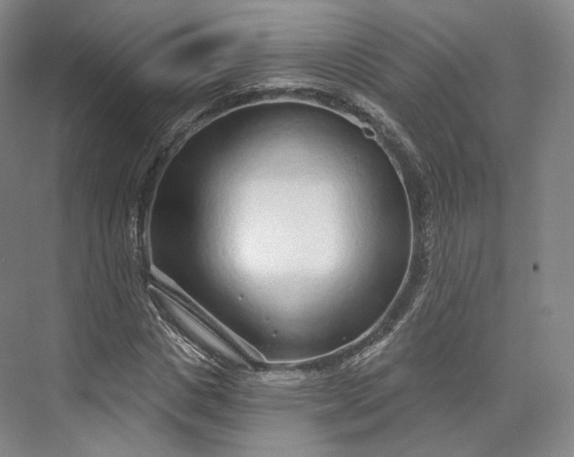 X0000073500825200608140906