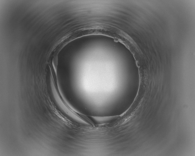 X0000073500826200608140906