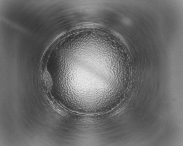 X0000073500827200608140906