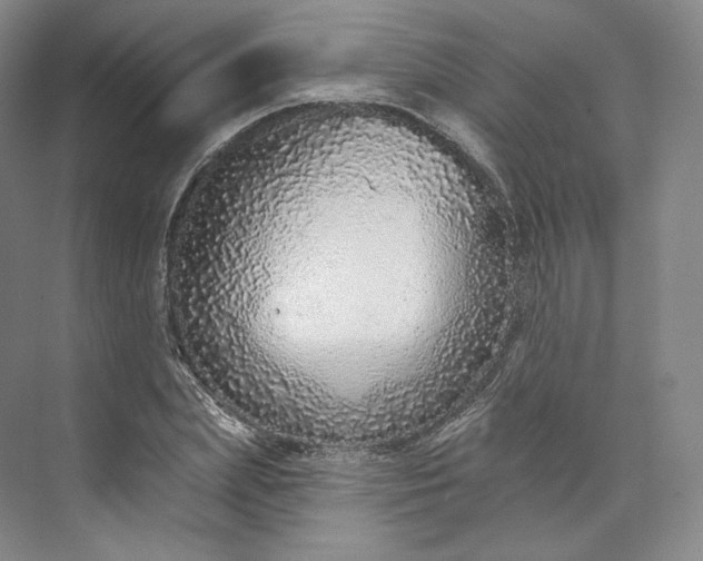 X0000073500831200608140906