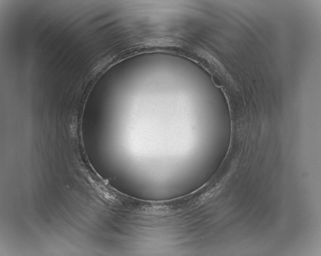 X0000073500833200608140906