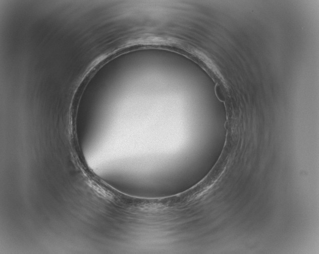 X0000073500837200608140906