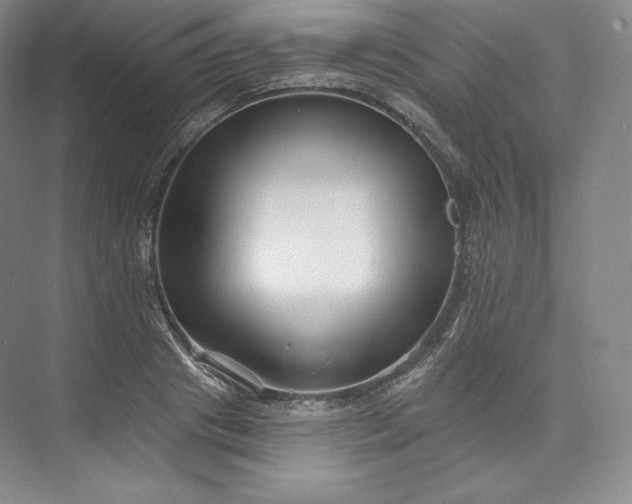 X0000073500841200608140906