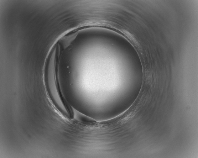 X0000073500846200608140906