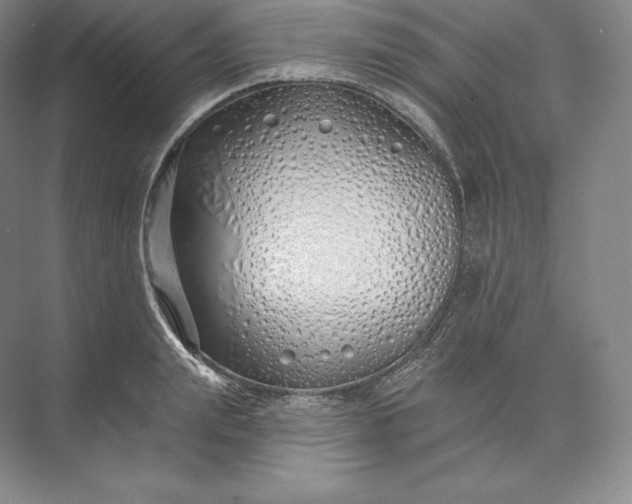 X0000073500847200608140906