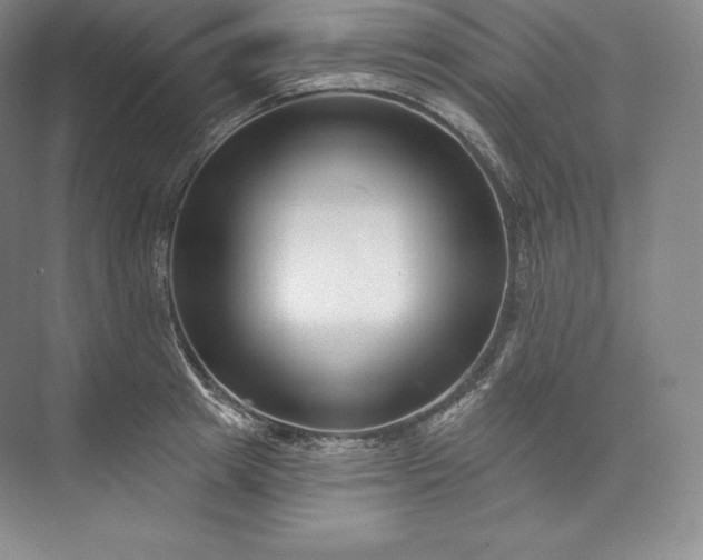 X0000073500849200608140906