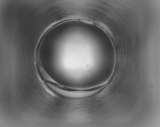 X0000073500854200608140906