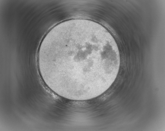 X0000073500856200608140906