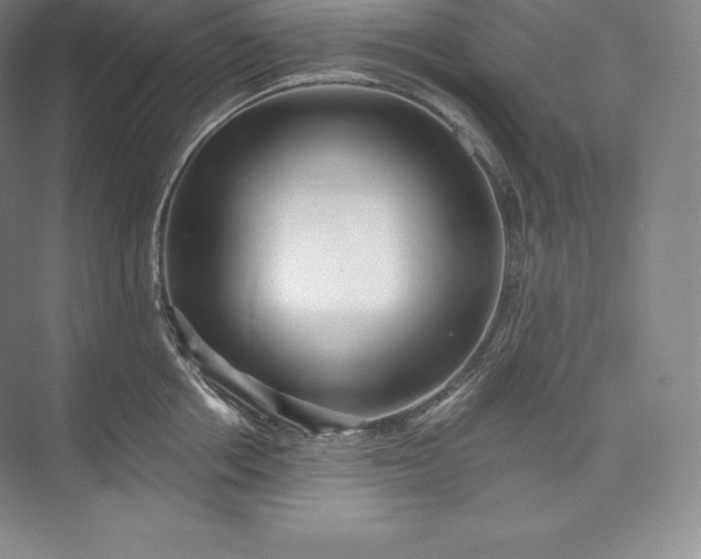 X0000073500858200608140906