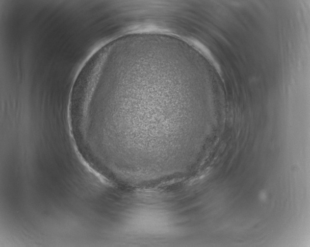 X0000073500863200608140906