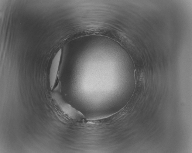 X0000073500868200608140905