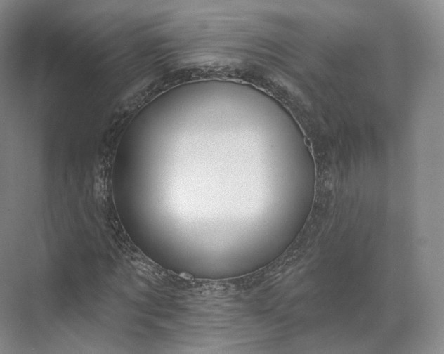 X0000073500869200608140905