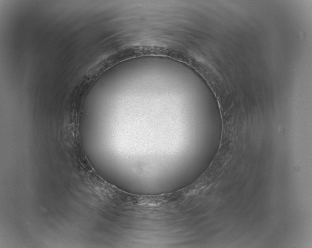 X0000073500870200608140905
