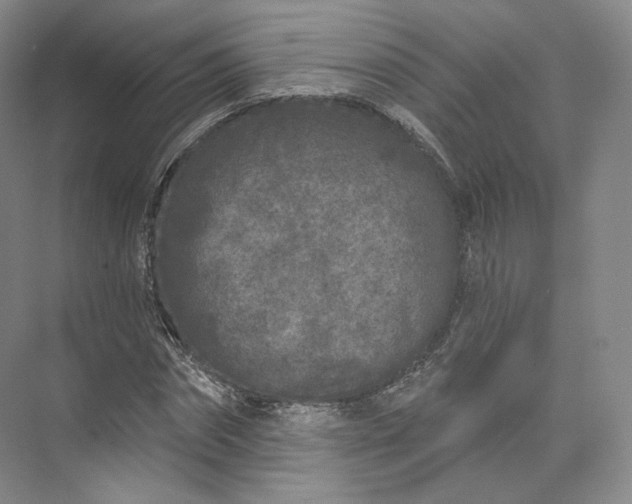 X0000073500874200608140905