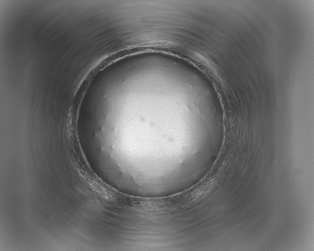 X0000073500875200608140905
