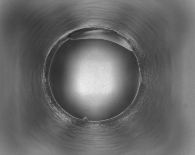 X0000073500880200608140905