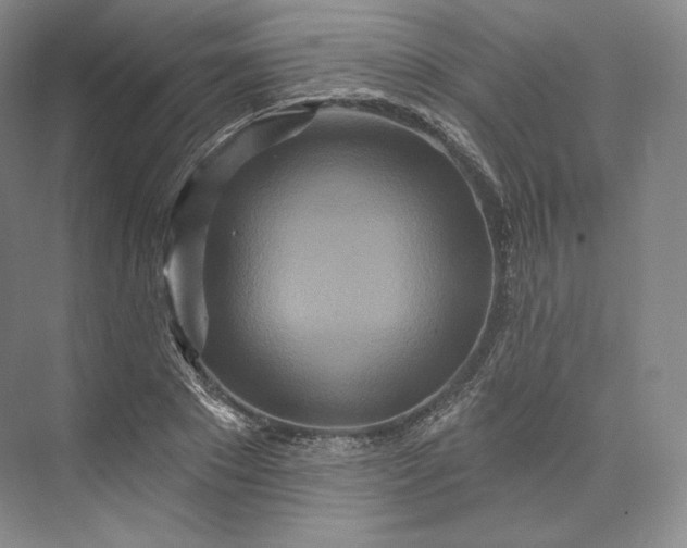 X0000073500881200608140905